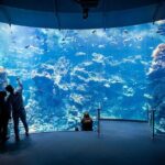 California Academy of Sciences General Admission Ticket - Final Thoughts: Is It Worth It?