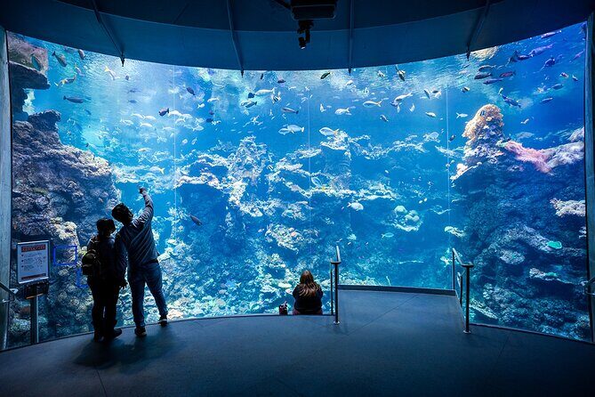 California Academy of Sciences General Admission Ticket - Final Thoughts: Is It Worth It?