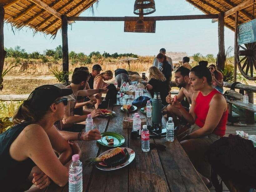 Cambodia Elephant Sanctuary Include Hotel Transfer Roundtrip - A Detailed Look at the Cambodia Elephant Sanctuary Tour