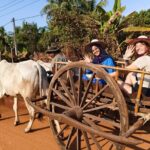 Cambodian Cooking Class and Oxcart Ride with Local Village Tour - Who Should Consider This Tour?