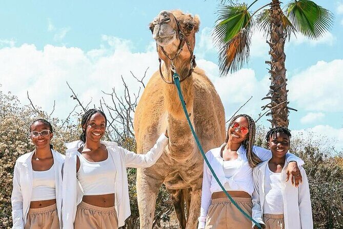 Camel Safari and Gastronomic Experience in Los Cabos - FAQs