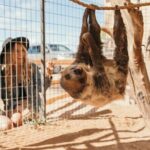 Camel Safari - Camel Ride and Zoo Tour - Who Will Love This Tour?