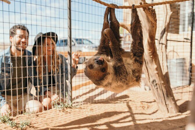 Camel Safari - Camel Ride and Zoo Tour - Who Will Love This Tour?