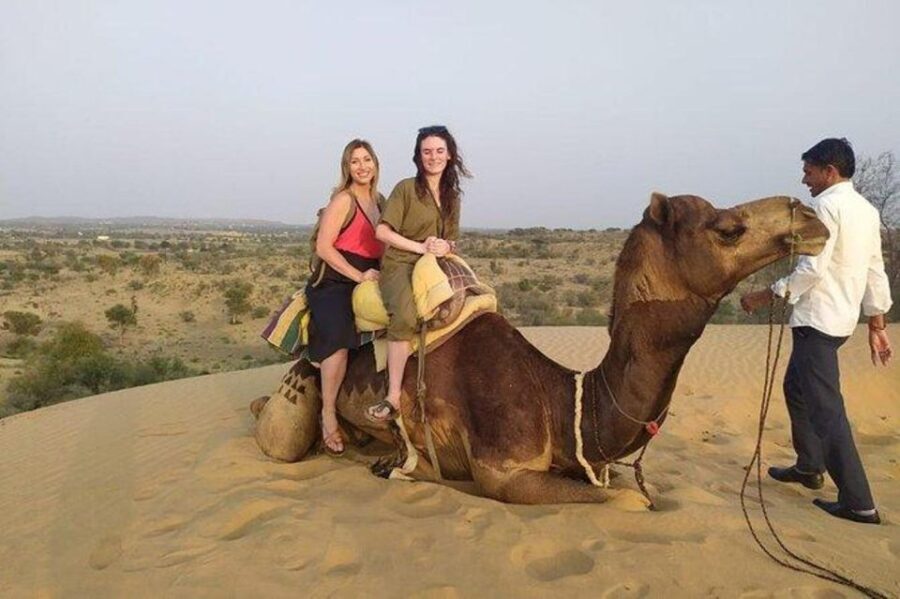 Camel Safari Tour From Jodhpur - The Sum Up
