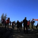 Cameron Falls Hiking Tour - Practical Details and Value