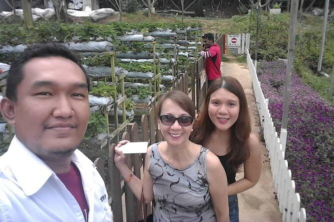 Cameron Highland Day Tour From Kuala Lumpur With Lunch Local food - Who Is This Tour Best For?