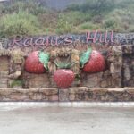 Cameron Highland Private Day Tour - Final Thoughts