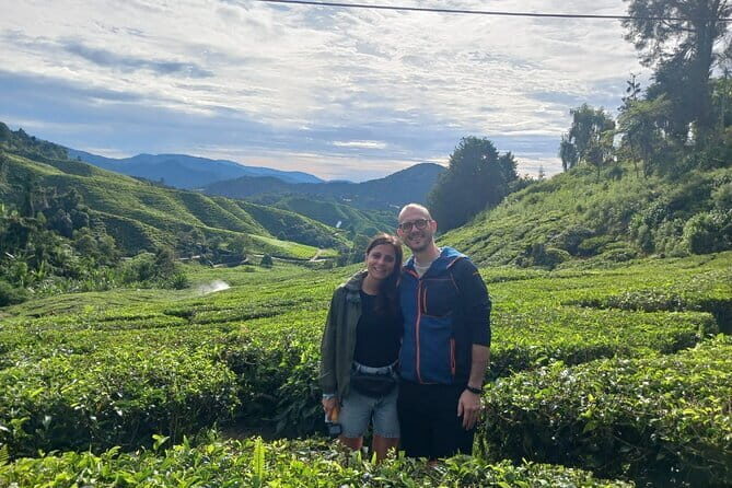 Cameron Highland Private Day Tour From Ipoh - A Deep Dive into the Cameron Highlands Private Day Tour