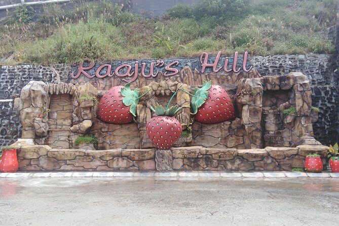 Cameron Highland Private Day Tour - Final Thoughts