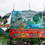 Cameron Highlands Amazing Day Trip Tour with Local Lunch - The Itinerary in Detail