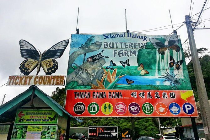 Cameron Highlands Amazing Day Trip Tour with Local Lunch - The Itinerary in Detail