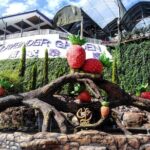 Cameron Highlands Day Trip From Kuala Lumpur - Final Thoughts: Who Should Book This Tour?