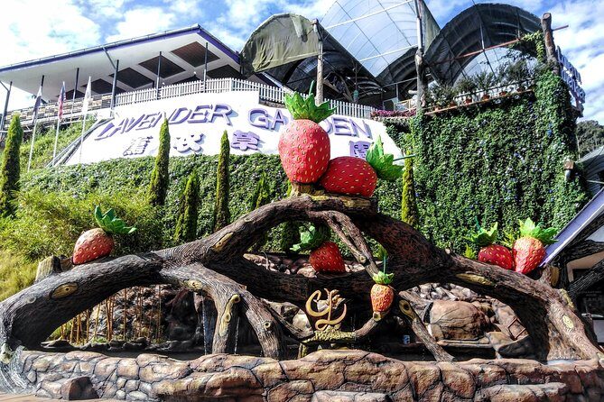 Cameron Highlands Day Trip From Kuala Lumpur - Final Thoughts: Who Should Book This Tour?