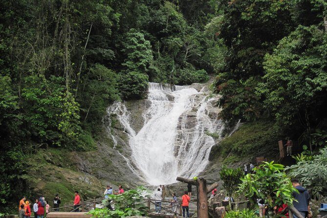 Cameron Highlands, Garden of Nature Full Day Private Guided Tour - Exploring the Cameron Highlands: What You Can Expect