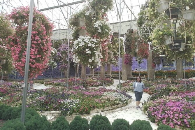 Cameron Highlands Multi Days Tour - Final Thoughts: Is It Worth It?