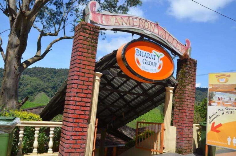 Cameron Highlands Private Day Trip - Why This Tour Stands Out