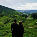 Cameron Highlands Tour from Kuala Lumpur - Authentic Experiences and Practical Tips
