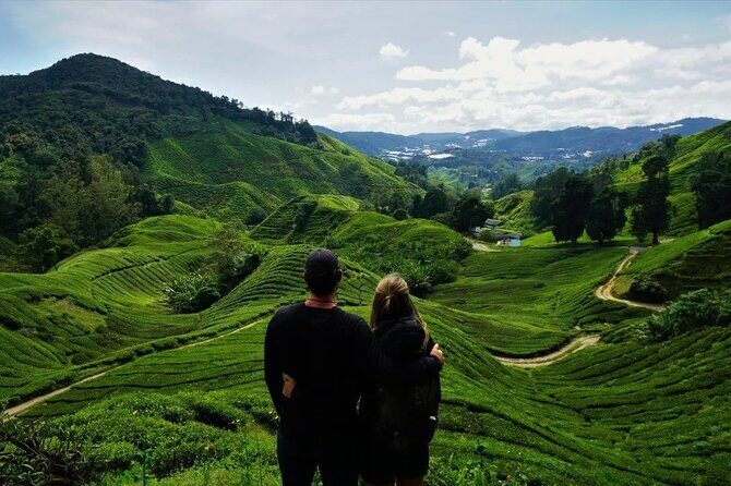 Cameron Highlands Tour from Kuala Lumpur - Authentic Experiences and Practical Tips