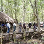 Can Gio Day Tour: Monkeys, Crocodiles, Canoe & Seafood Lunch - Why This Tour Offers Great Value