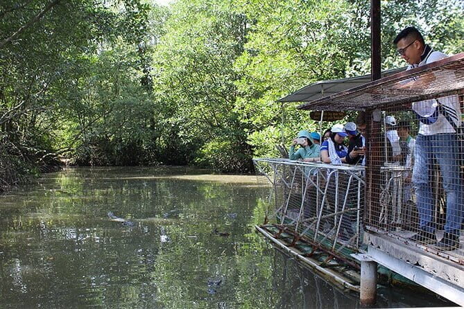 Can Gio Mangrove Forest Island Private Tour From Ho Chi Minh City - A Detailed Look at the Can Gio Mangrove Forest Tour