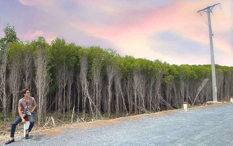 Can Gio Mangrove, Thanh An Island, Vung Tau City 2 Days Tour - Practical Considerations and Tips