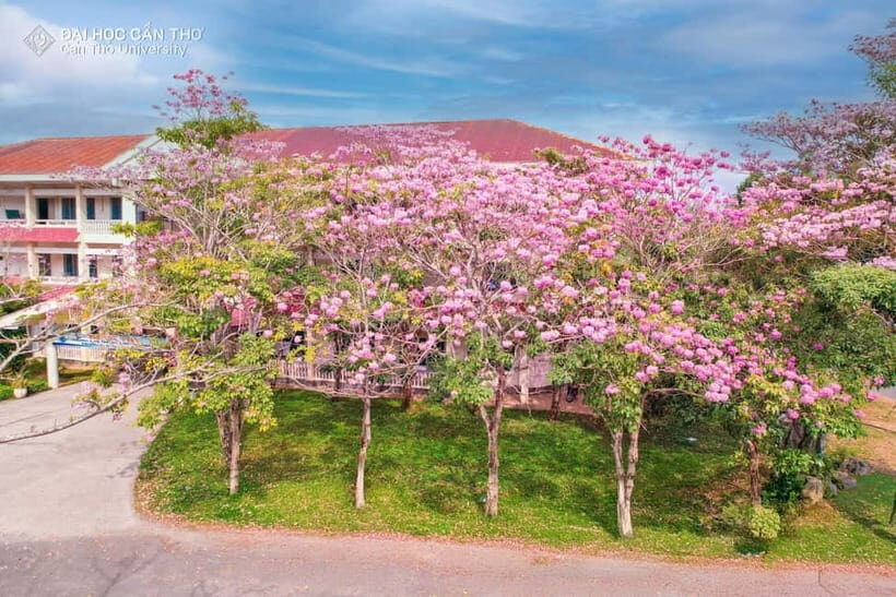 Can Tho: University Tour with Tasting & Sightseeing in CT - Exploring the Campus