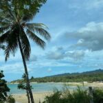 Can-umantad Falls and candijay rice terraces Eco Tour - Value for Money and Who It’s For