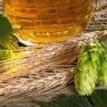 Canandaigua Lake Brewery Tour - Who Will Love This Tour?