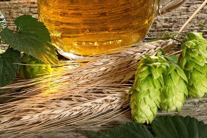 Canandaigua Lake Brewery Tour - Who Will Love This Tour?