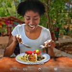 Cancun ATV Jungle Adventure, Ziplines, Cenote and Tequila Tasting - What to Expect on the Day