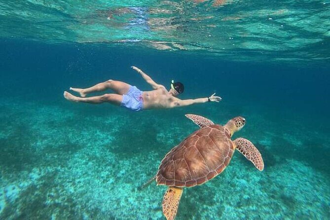 Cancun Catamaran: Sail to Isla Mujeres + Buffet & Drinks - What Sets This Tour Apart?