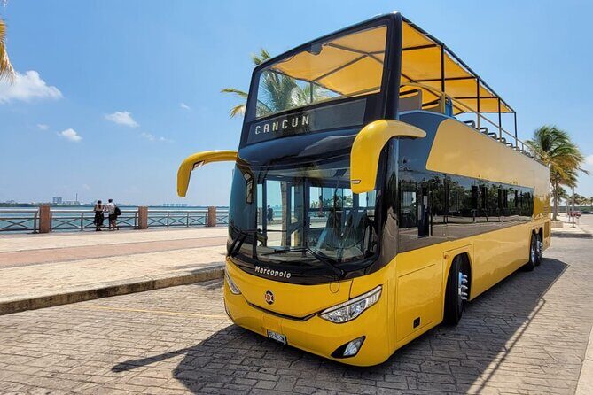 Cancun City Sightseeing and Shopping Tour on a Double Decker bus - The Sum Up