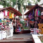 Cancun Shopping Private Guided Tour & City Sightseeing - Transportation and Comfort