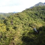 Canopy River Zipline Tour and Mule Ride - Frequently Asked Questions