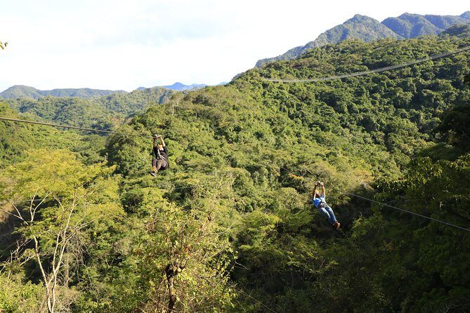 Canopy River Zipline Tour and Mule Ride - Frequently Asked Questions