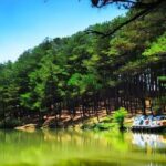 Car rental service in Dalat ( private with driver ) - Price and Value Analysis