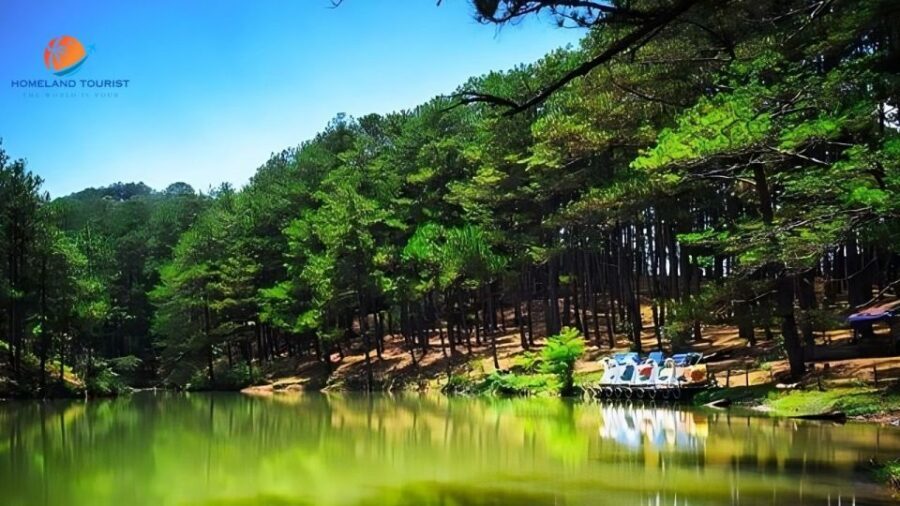 Car rental service in Dalat ( private with driver ) - Price and Value Analysis