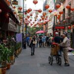 Car rental with private driver, know Mexico City - The Experience Starts with Comfort and Personalization