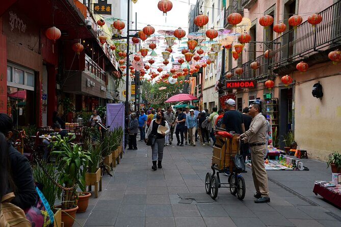 Car rental with private driver, know Mexico City - The Experience Starts with Comfort and Personalization