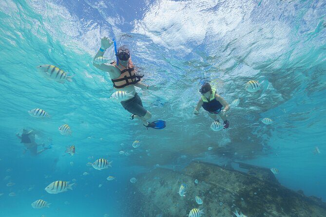 Caribbean Star Snorkeling Tour - A Detailed Look at the Caribbean Star Snorkeling Tour