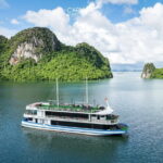 Carnival Cruises - Halong Day Cruise 5-Star, Caves, Kayak & Lunch - Why Travelers Love This Tour