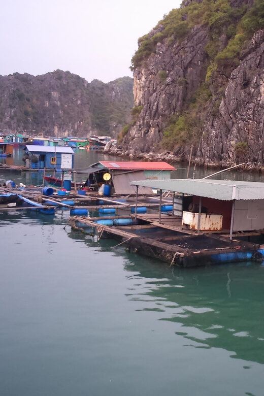 Cat Ba: 2-Day Lan Ha Bay Cruise with Plankton Excursion - Practical Details and Tips
