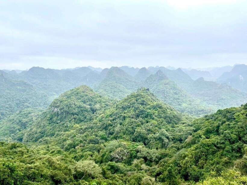 Cat Ba 2 days trip: Luxury cruise, national park & beach - Deep Dive: The Experience in Context