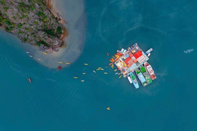 Cat Ba beauties both day and night, both park and bay - A closer look at the Cat Ba experience