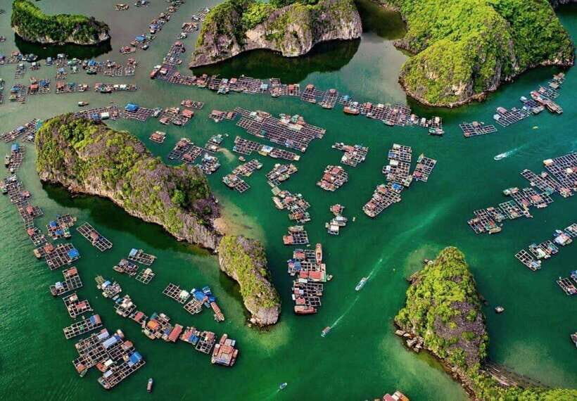 Cat Ba Island-Lan Ha Bay Day Trip: Kayaking, Swimming,Biking - Authentic Experiences and Practical Considerations
