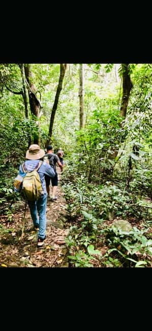 Cat Ba National Park Day Tour - Hiking, Cycling, Kayaking - Exploring Viet Hai Village and Local Culture