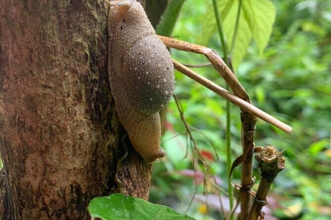 Cat Ba National Park Full Day Trekking Tour to Viet Hai Village - Who Will Love This Experience?