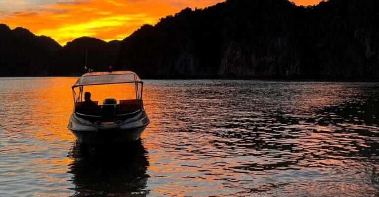 Cat Ba: Sunset and Plankton Bioluminescent Night Kayak - What Makes This Tour Stand Out?