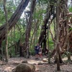 Cat Tien National Park Tour: Biking, Walking, Wildlife Safari - Who Will Love This Tour?