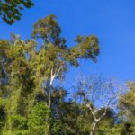 Cat Tien National Park with Crocodile Lake - Exploring the Itinerary in Detail